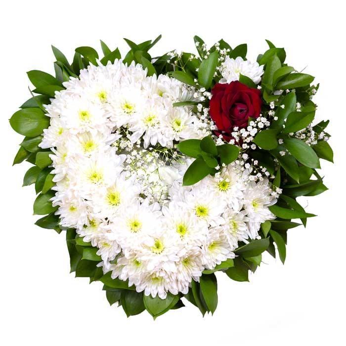 White Mums and Ruscus Funeral Heart - Purpink
