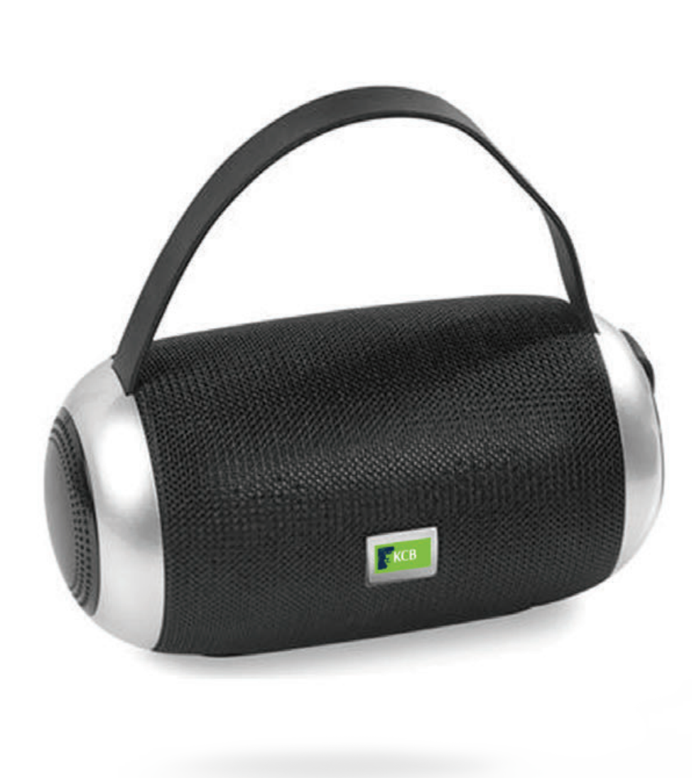Portable Bluetooth Speaker & FM Radio
